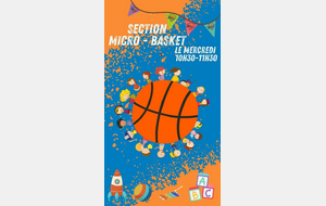 Nouveauté : le Micro basket