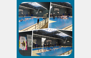 Remise du Label 3 étoiles Ecole Française de Mini Basket