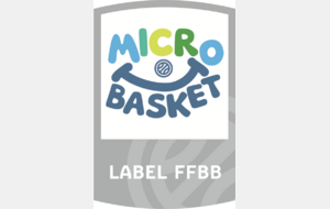 MICRO-BASKET