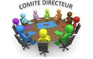 COMITÉ DIRECTEUR