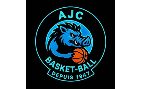 ASJ CROISY SUR ANDELLE