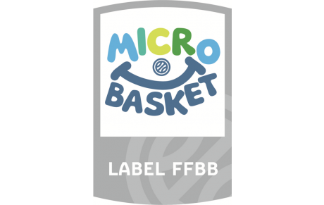 MICRO-BASKET