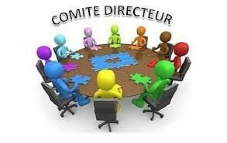 COMITÉ DIRECTEUR